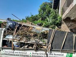 Best Office Cleanout  in Antioch, IL